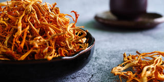 Why Experienced Dietitians are Recommending Cordyceps Mushroom Extract as a Pre-Workout Supplement