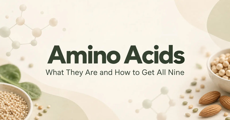 Amino Acids: What They Are and How to Get All Nine