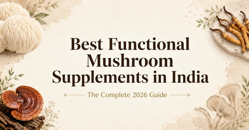 Best Functional Mushroom Supplements
