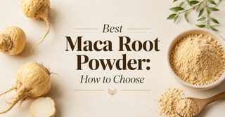 Best Maca Root Powder: How to Choose