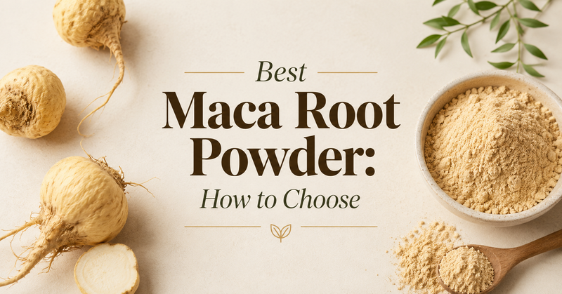 Best Maca Root Powder: How to Choose