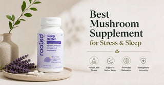 Best Mushroom Supplement for Stress & Sleep