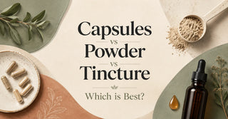 Capsules vs Powder vs Tincture