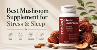 Best Mushroom Supplement for Stress & Sleep