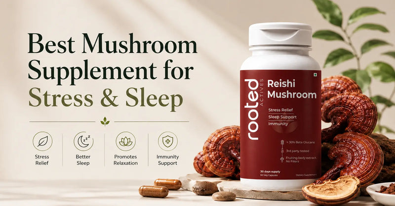Best Mushroom Supplement for Stress & Sleep
