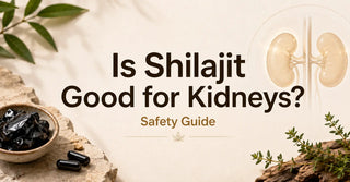 Is Shilajit Good for Kidneys