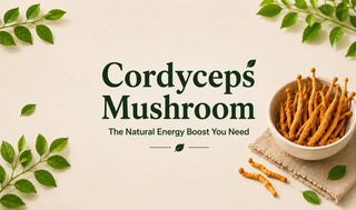 Cordyceps Mushroom
