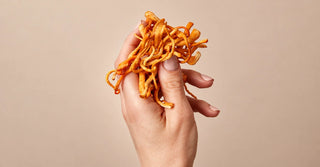 Cordyceps Side Effects: Who Should Avoid It and Which Medicines Clash