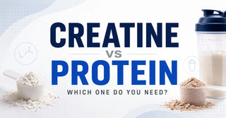 Creatine vs Protein