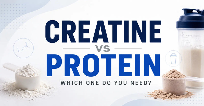 Creatine vs Protein