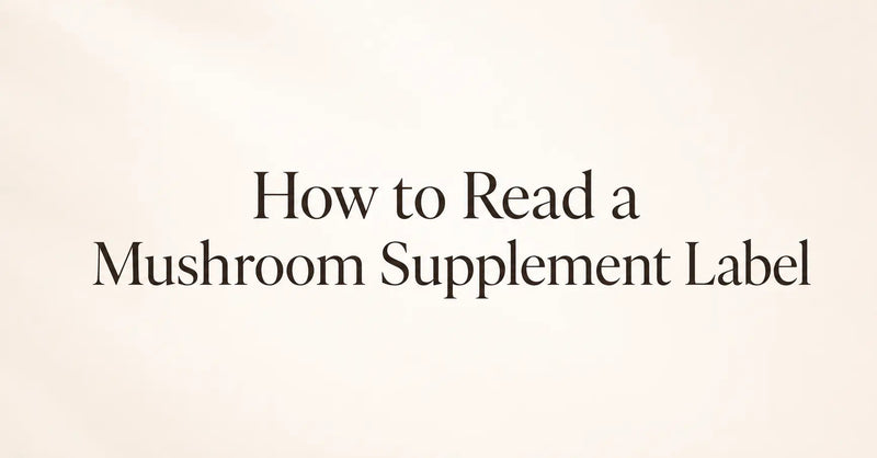 How to Read a Mushroom Supplement Label 