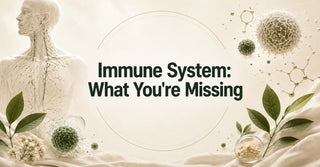 Immune System