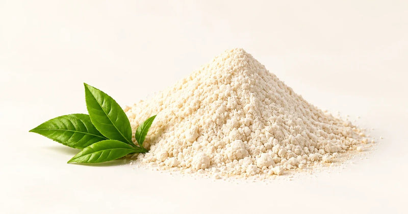 L-Theanine Benefits: Calm Focus Without Drowsiness