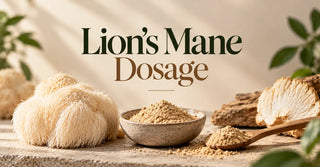 Lion’s Mane Dosage
