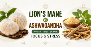 Lion's Mane vs Ashwagandha