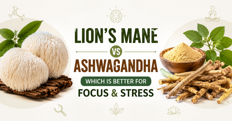 Lion's Mane vs Ashwagandha