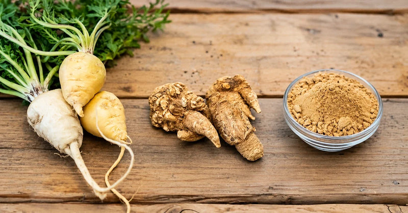 Maca Root Side Effects: Thyroid, Hormones and Who Should Avoid It