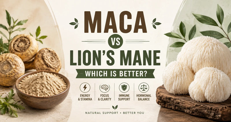Maca vs Lion's Mane: Which Is Better