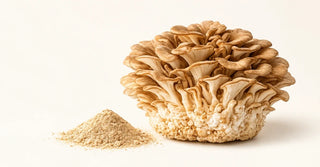 Maitake Mushroom Benefits: Blood Sugar, Immunity & How to Use