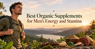 Best Organic Supplements for Men’s Energy and Stamina
