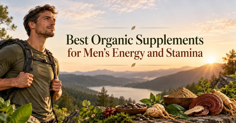 Best Organic Supplements for Men’s Energy and Stamina