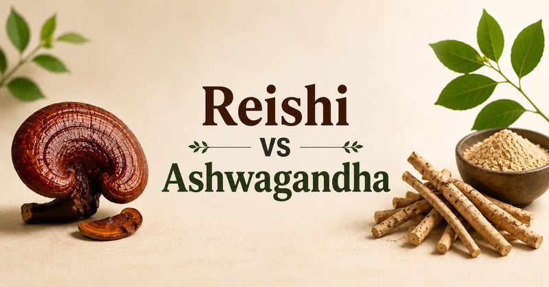 Reishi vs Ashwagandha