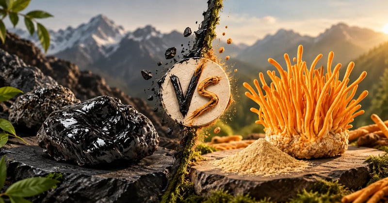 Shilajit vs. Cordyceps