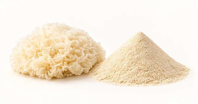 Tremella Mushroom Benefits for Skin: The 'Beauty Mushroom' Explained