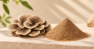 Turkey Tail Mushroom