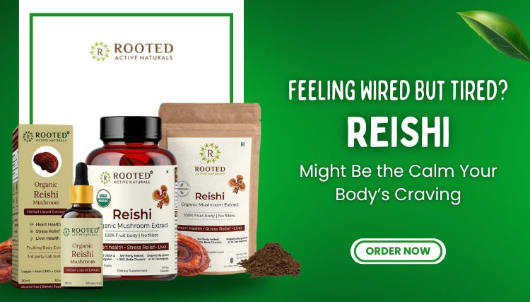 Feeling Wired But Tired? Reishi Might Be the Calm Your Body’s Craving