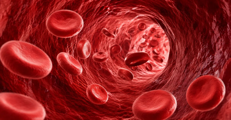 Beetroot for Blood Flow