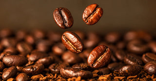 mushroom coffee caffeine   
