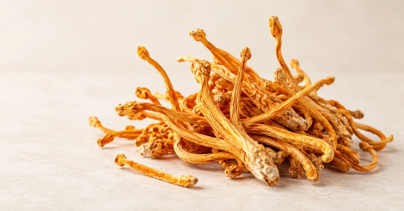 Cordyceps for Lungs & Breathing: Oxygen Use, VO2 Max & Endurance