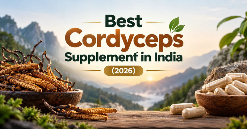 Best Cordyceps Supplement