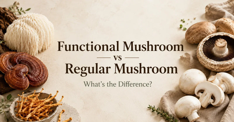 Functional Mushroom 