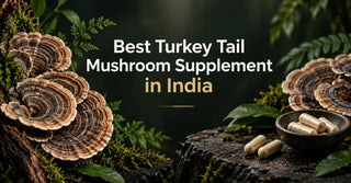 turkey tail mushroom supplements
