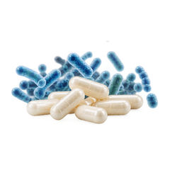 1 BILLION CFU PROBIOTICS