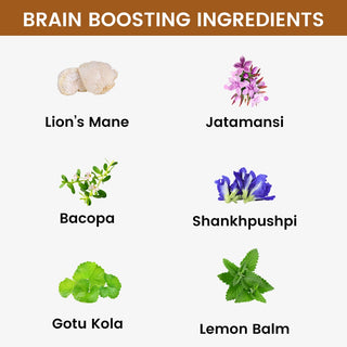 Brain Boost - Mushrooms & Ayurvedic Herbs Blend for Focus, Clarity & Cognitive Health