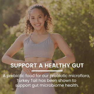 Turkey Tail Mushroom Extract Capsules