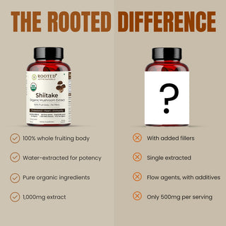 Shiitake Mushroom Extract Capsules