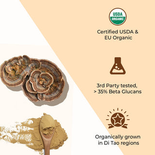 USDA Organic Turkey Tail Mushroom Extract Powder, > 35% Beta Glucans
