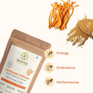 USDA Organic Cordyceps Militaris Extract Powder (7.5 Cordycepin)