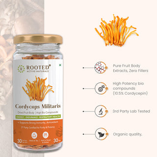 Cordyceps Militaris Mushroom (Dry Strands), 10.5 Cordycepin