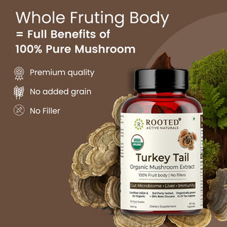 Turkey Tail Mushroom Extract Capsules