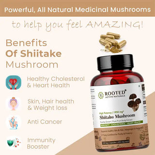 USDA Organic Shiitake Mushroom Extract Capsule