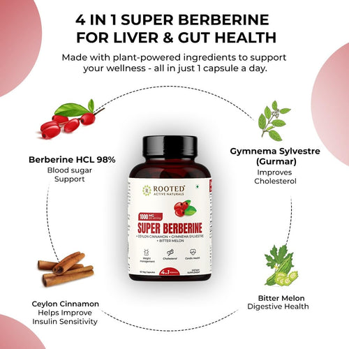 Rooted Berberine HCL 98% with Ceylon Cinnamon (Daalchini) 750mg Herbal Capsules for Metabolic Support, Liver Detox, Antioxidants – 60 Veg Caps