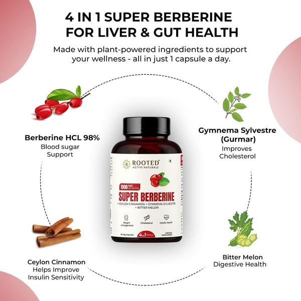 Rooted Berberine HCL 98% with Ceylon Cinnamon (Daalchini) 750mg Herbal Capsules for Metabolic Support, Liver Detox, Antioxidants – 60 Veg Caps