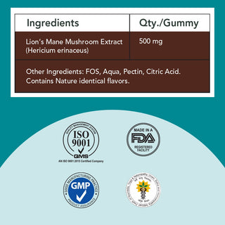 Organic Lion’s Mane Mushroom Gummies (Sugar-Free)