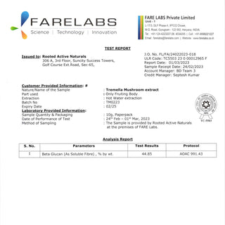 Tremella Mushroom Extract Powder