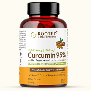 Turmeric Curcumin 95% with Black pepper extract (500 mg  Capsules)